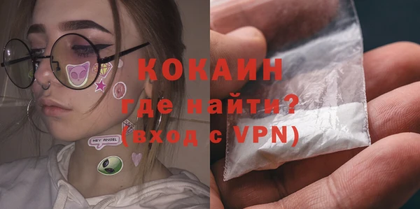 мет Алексин