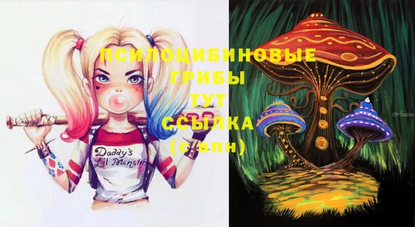 2c-b Алексеевка