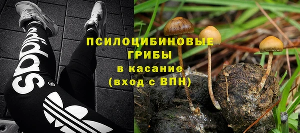 СК Алзамай