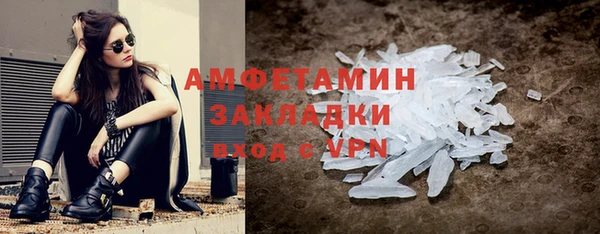 мет Алексин