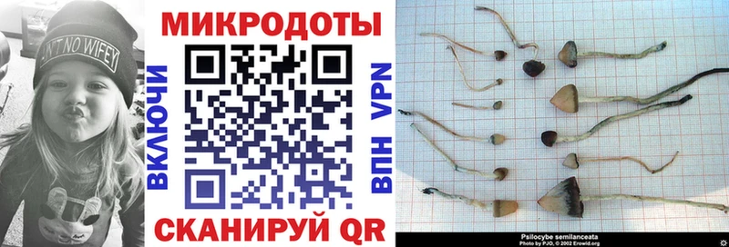 Галлюциногенные грибы Psilocybine cubensis Симферополь